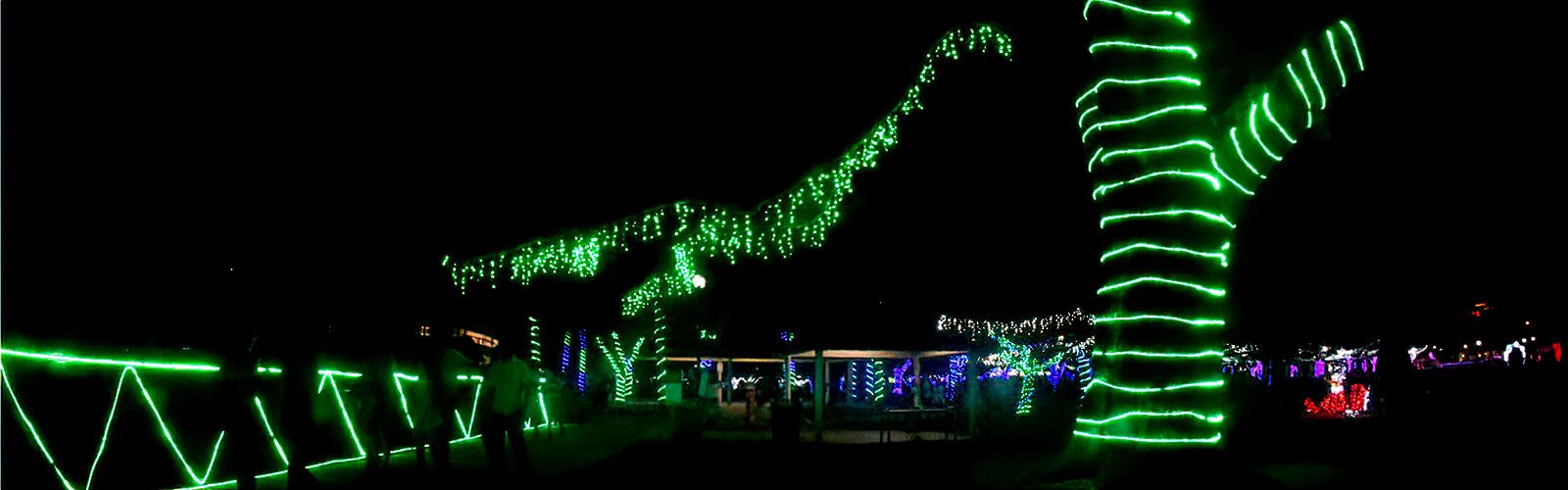 Largo Central Park's dazzling lights display celebrates the holiday season for all to enjoy.