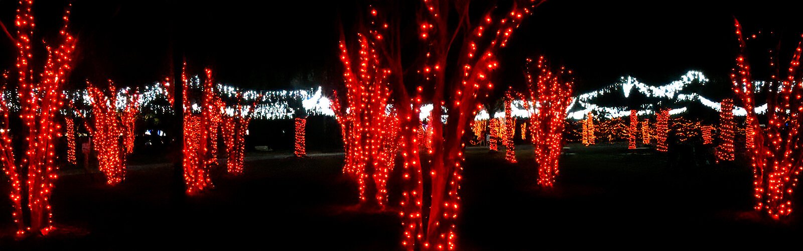 The light display at Largo Central Park is a holiday tradition in the city.