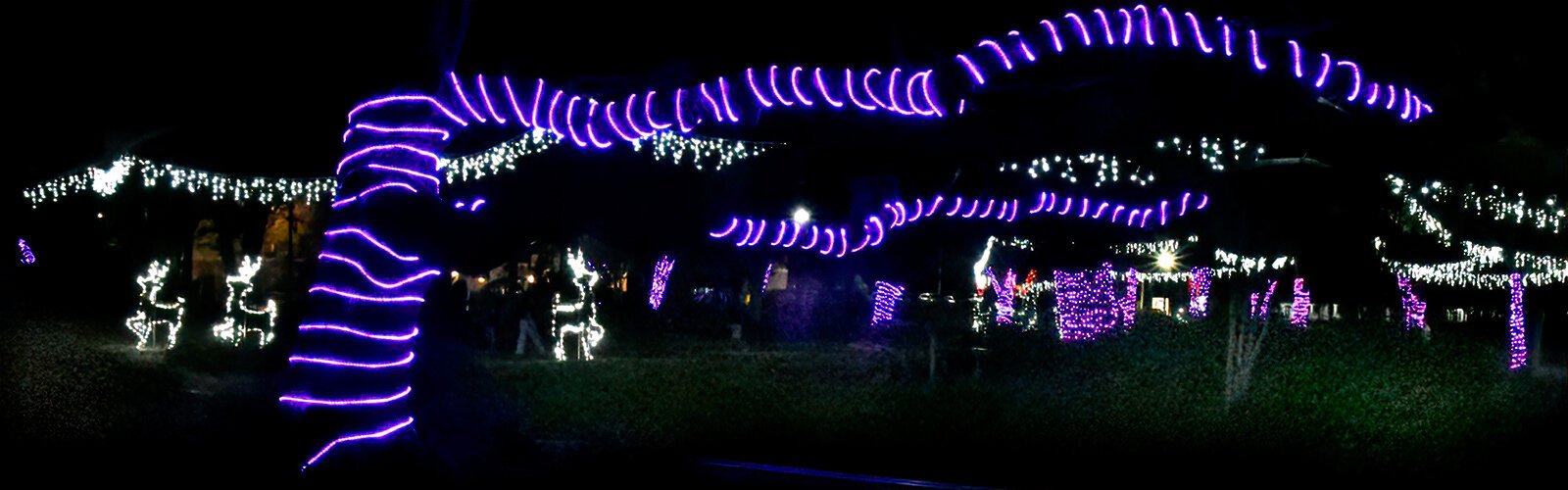 Largo Central Park’s dazzling lights display celebrates the holiday season.