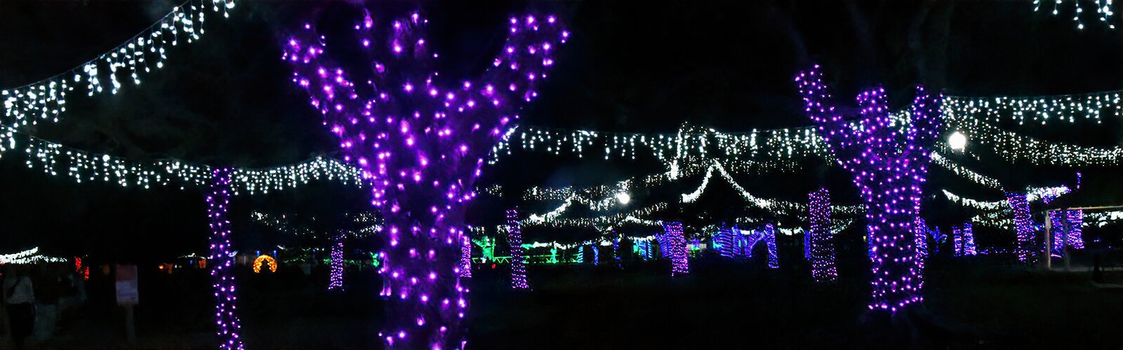 Holiday Lights in Largo Central Park runs through December 29th