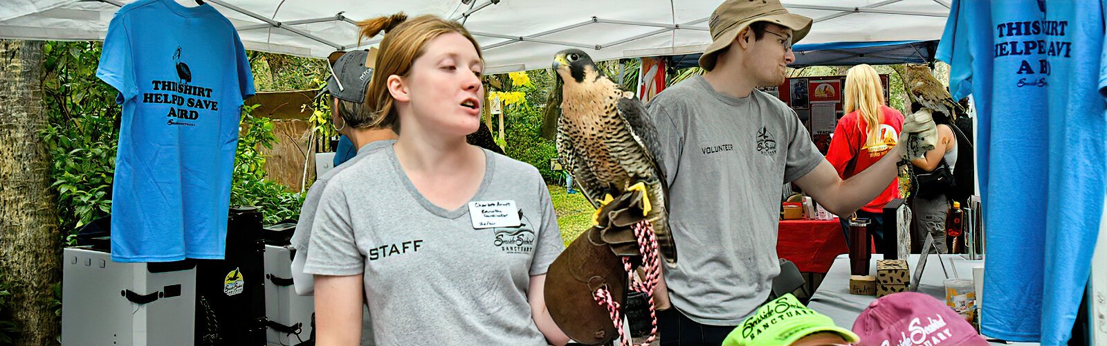 Seaside Seabird Sanctuary’s Education Coordinator Charlotte Arndt explains how Fantom, their permanent resident peregrine falcon, was first found in Largo with a wing injury. 