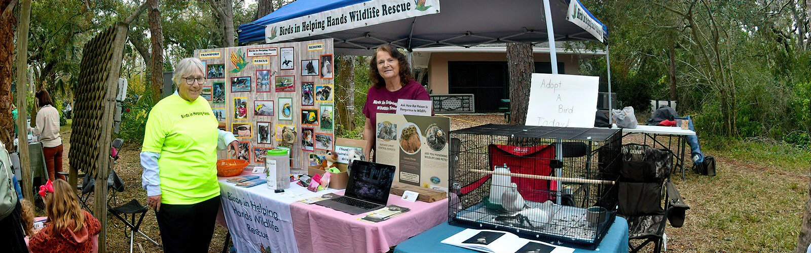 Bird rescuer Lynne Harding is one of many volunteers teaming up with Birds in Helping Handsfounder Shelley Vickery to rescue injured birds throughout the Tampa Bay area.