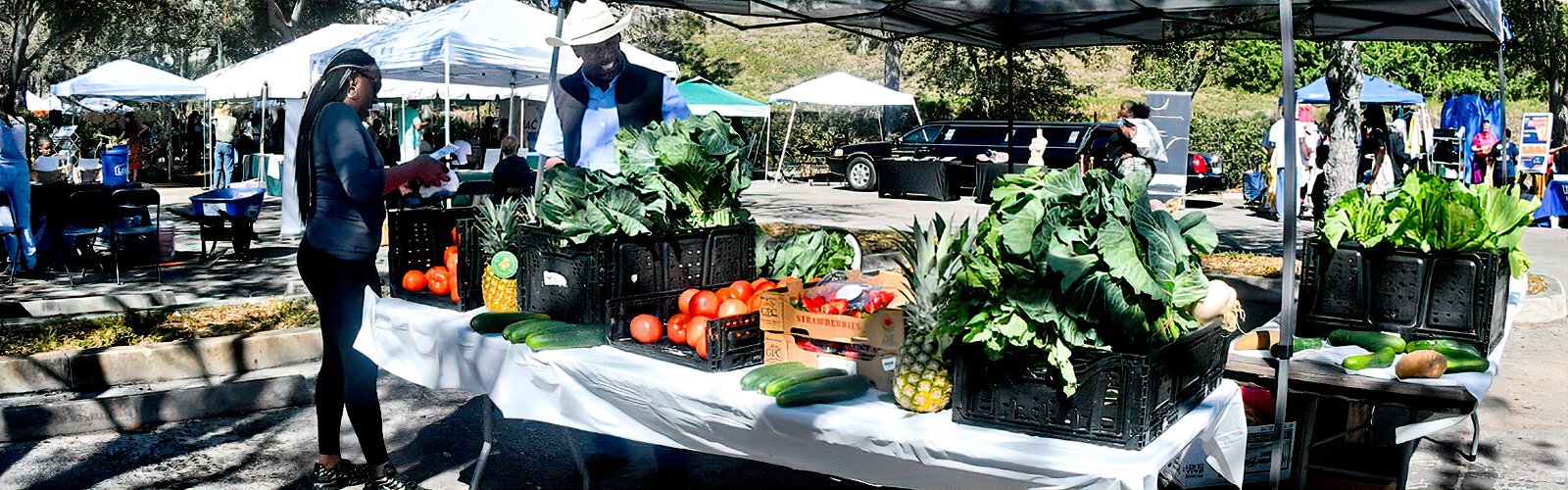 Howard Gunn, Jr. sells bunches of collard greens and other fresh produce from his farm in Ocala at the Collard Green Festival.