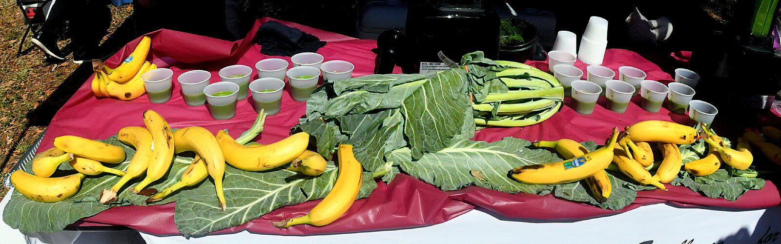 The American Culinary Federation’s colorful display of smoothie ingredients draws visitors to sample the healthy drink.