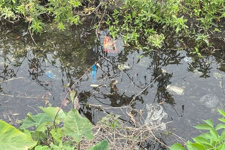 Working with partners at USF, the UACDC plans to upgrade and beautify polluted stormwater ponds like Arrans Pond