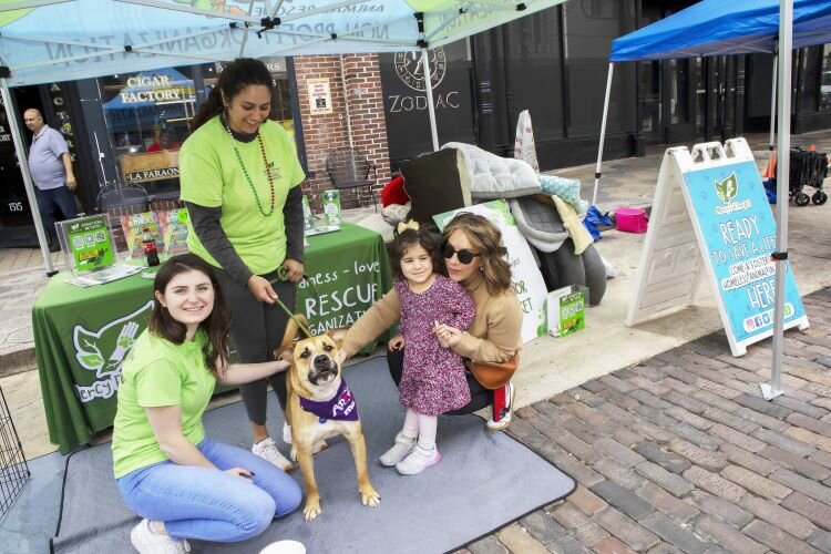 Mercy Full Project's animal rescue associates Charlotte Grady and Valentina Gomez brought mixed breed, Razzle, to the Ybor City Chamber of Commerce's 78th Fiesta Day celebration to showcase the nonprofit's commitment to animal welfare.